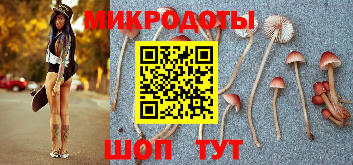 Псилоцибиновые грибы прущие грибы  Вход с VPN  Новый Уренгой  Псилоцибиновые грибы Psilocybe 